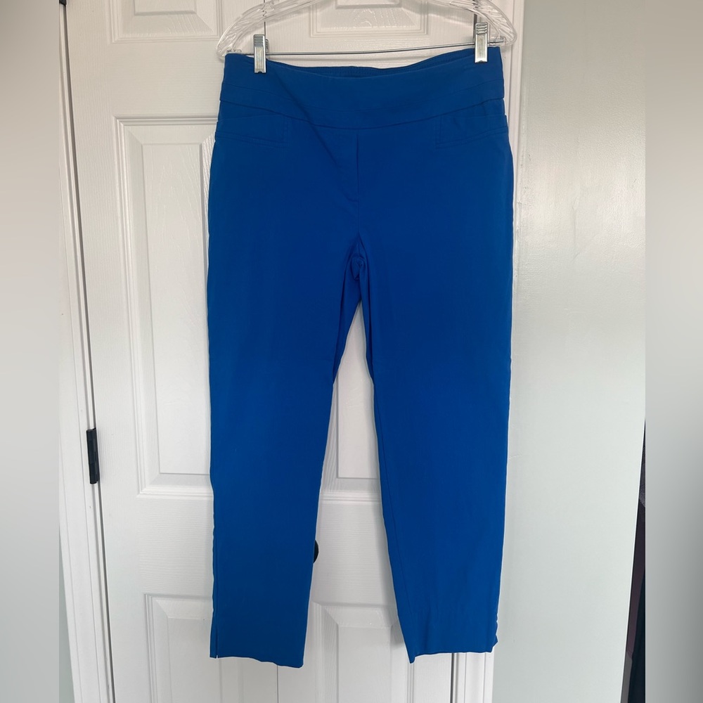 Size 6 Zac & Rachel Blue Chinos